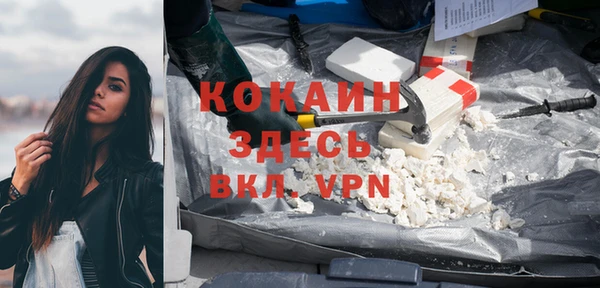 индика Усинск